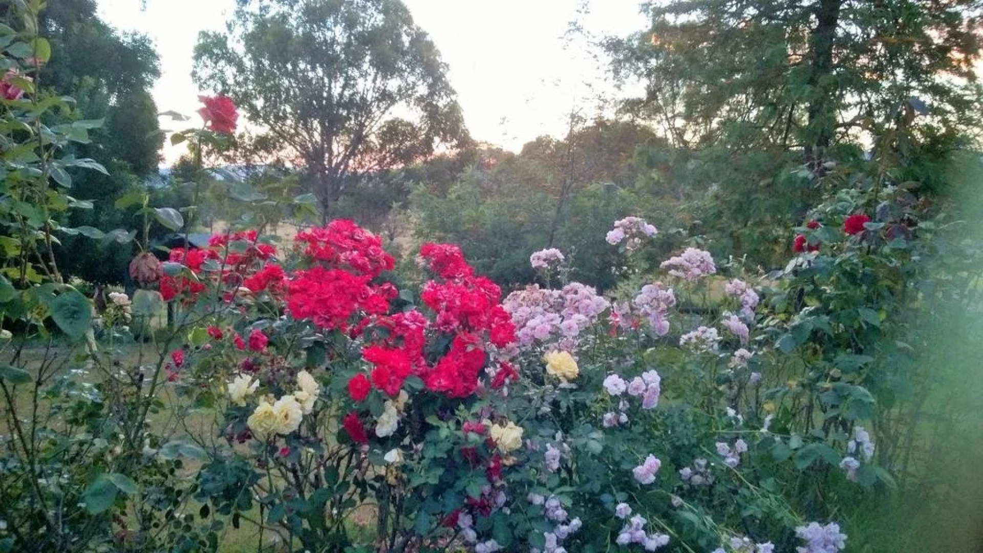 Russellee Bed and Breakfast