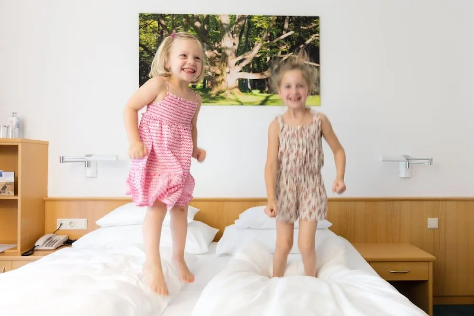 Seminar-Park-Hotel Hirschwang