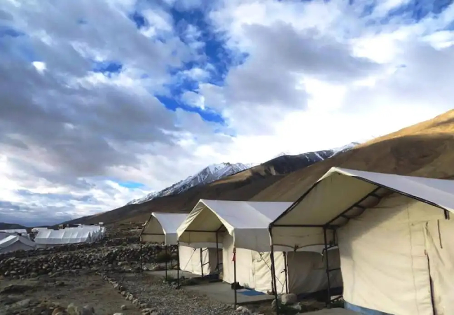 Royal Camp - Pangong