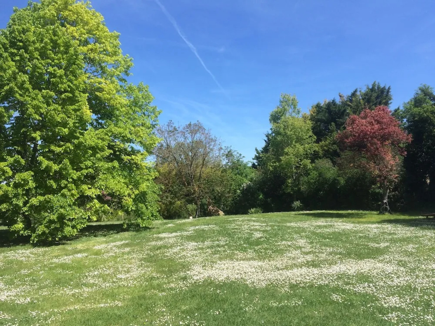 Chambres d'hôtes - Les Vents Bleus