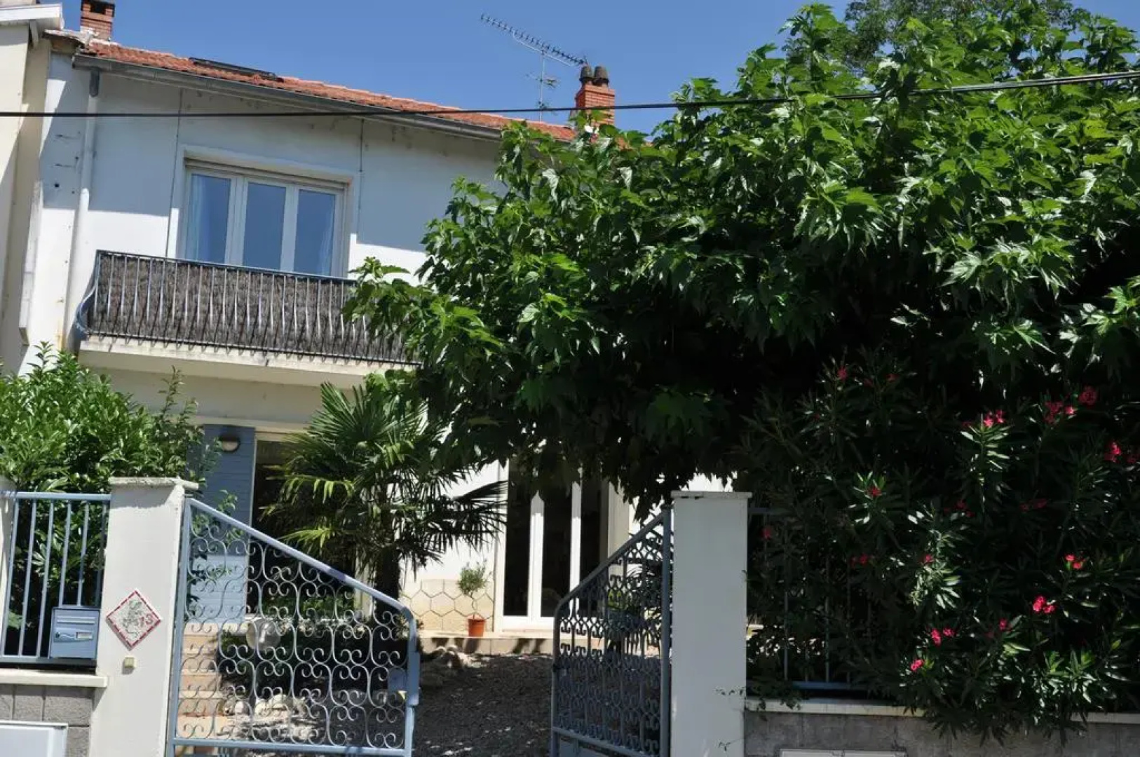 Le Mûrier