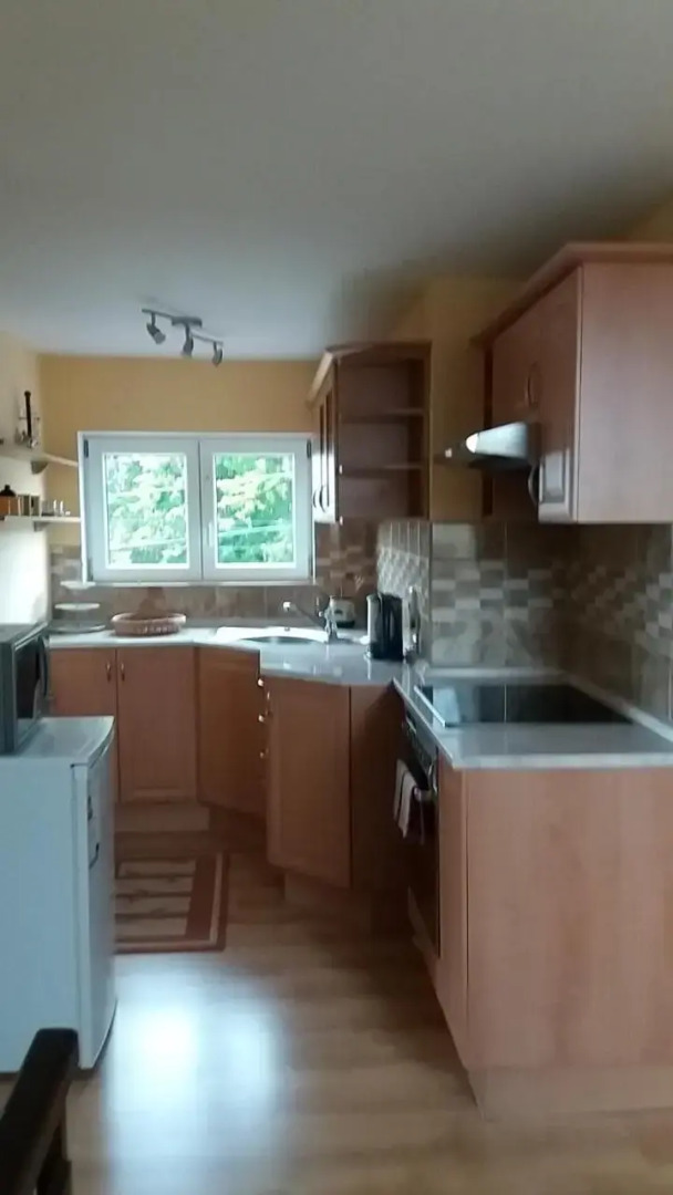 Apartmány Krásná - K68