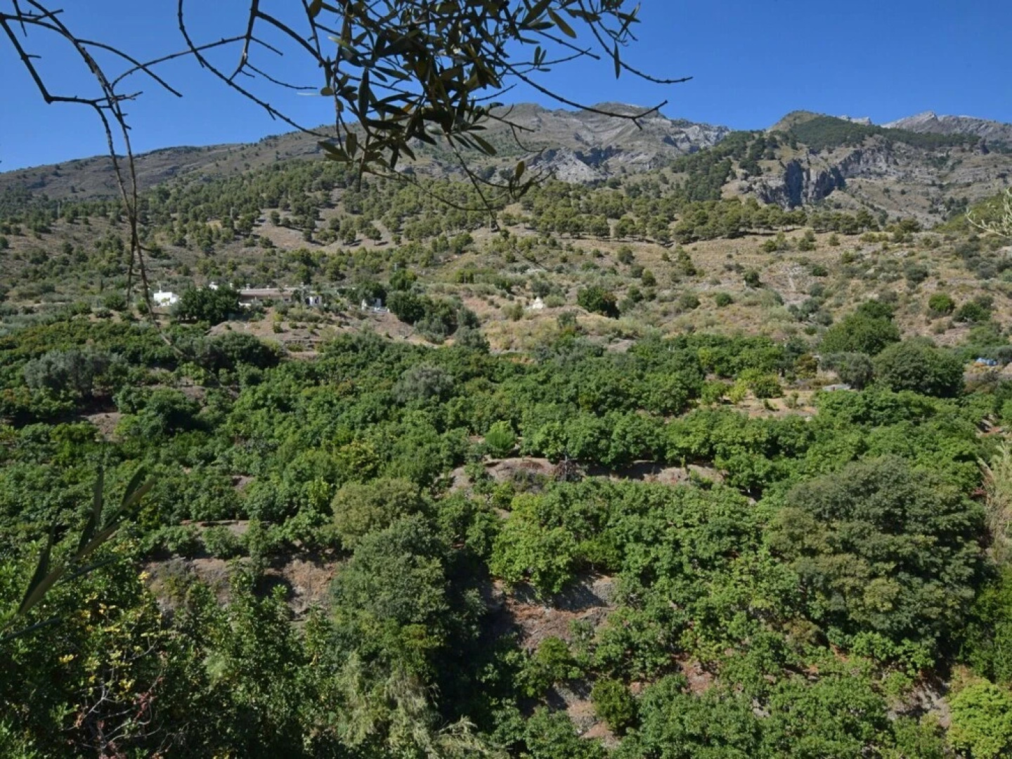 Vintage Holiday Home in Andalusia With Pool