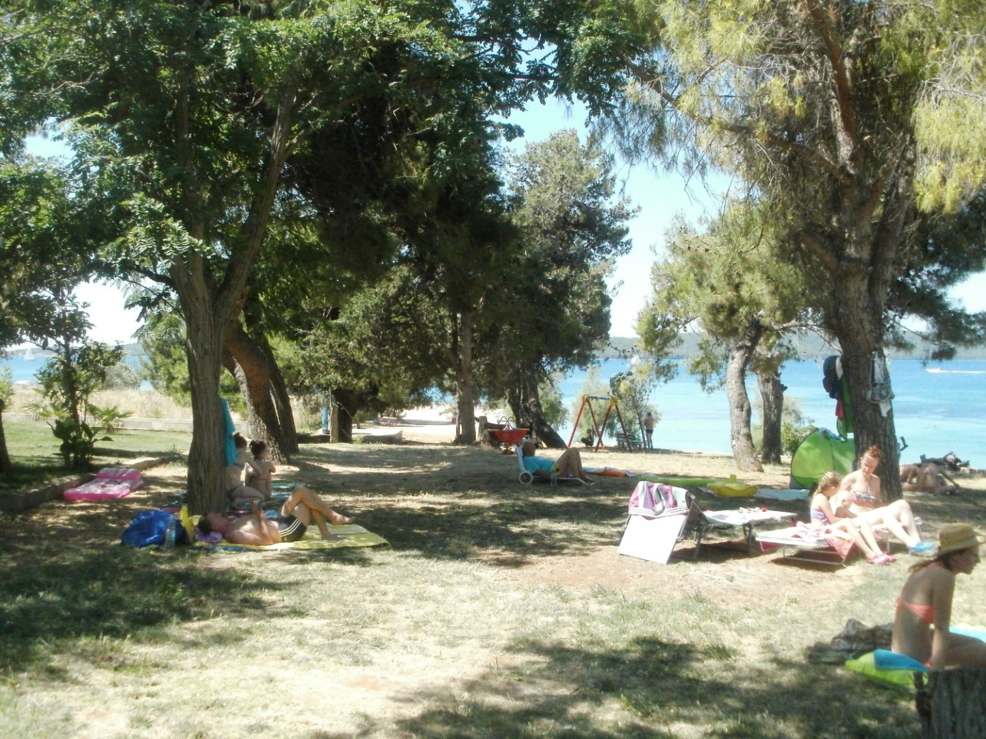 Room Aleksandra - 10 m from sea: R7 Bibinje, Zadar riviera