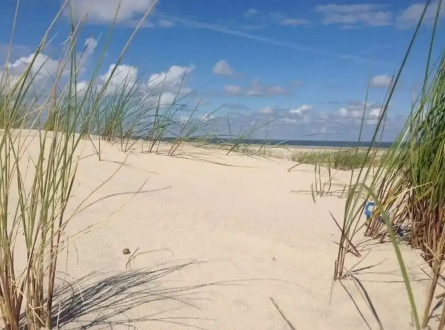 Holiday Apartment "schnorr"