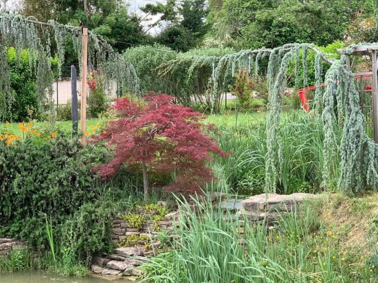 La Grenouillere (Adults Only)