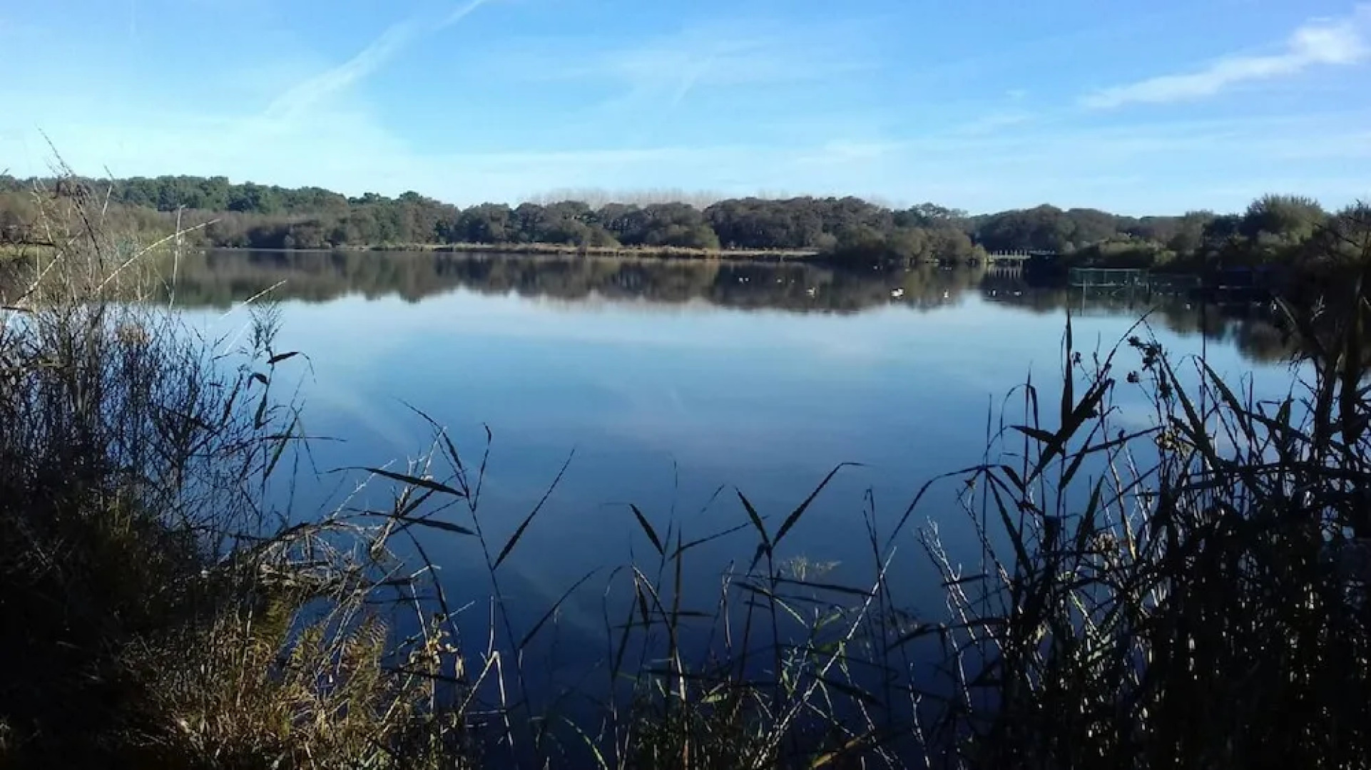 House With 2 Bedrooms in Messanges, With Enclosed Garden and Wifi - 2