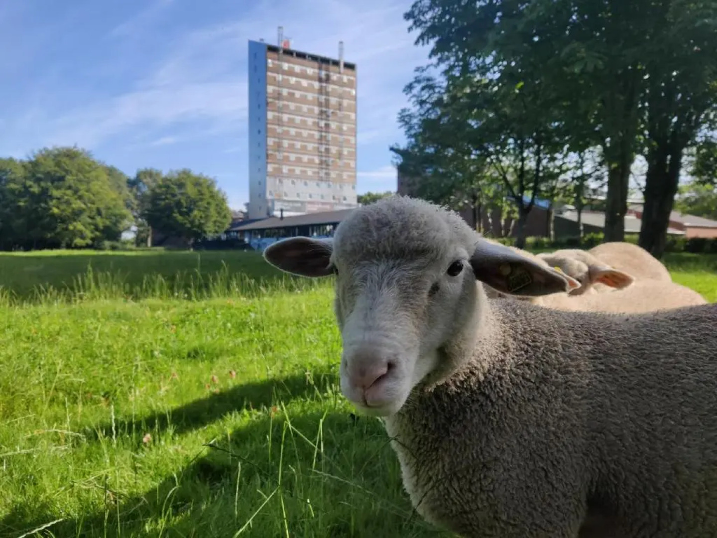 Højhuset Kulturhotel