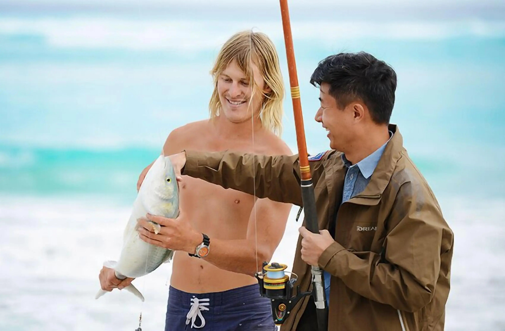 Wavecrest Village & Tourist Park