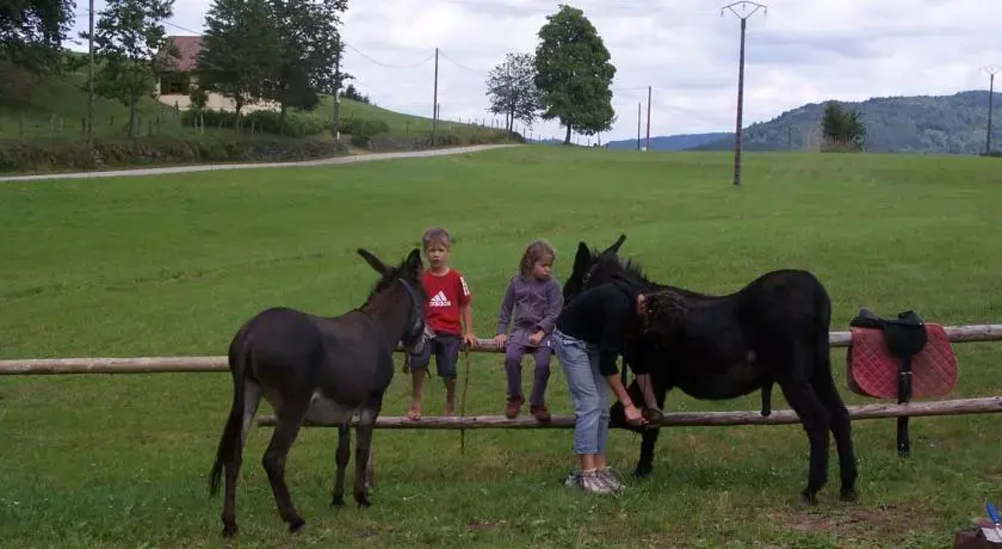 Ferme Aux Moineaux