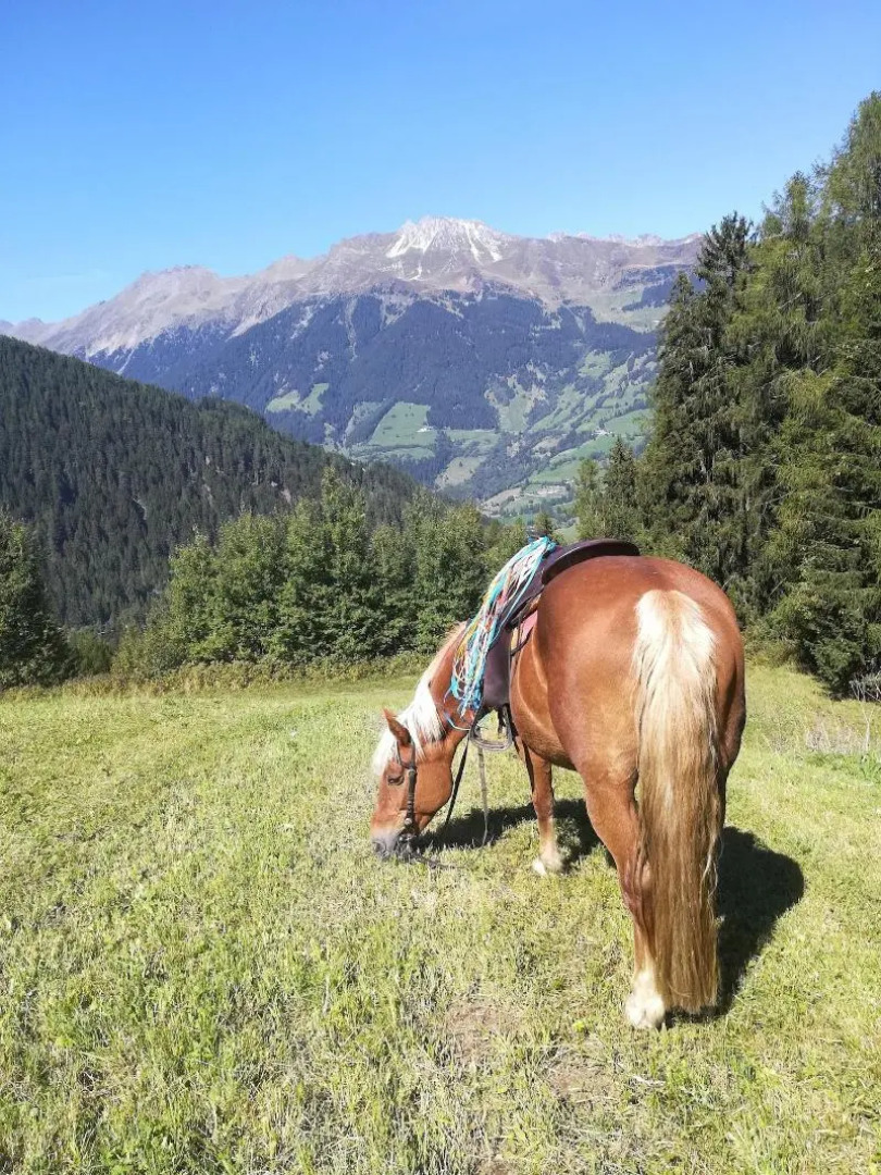 Sporthotel Kalcherhof