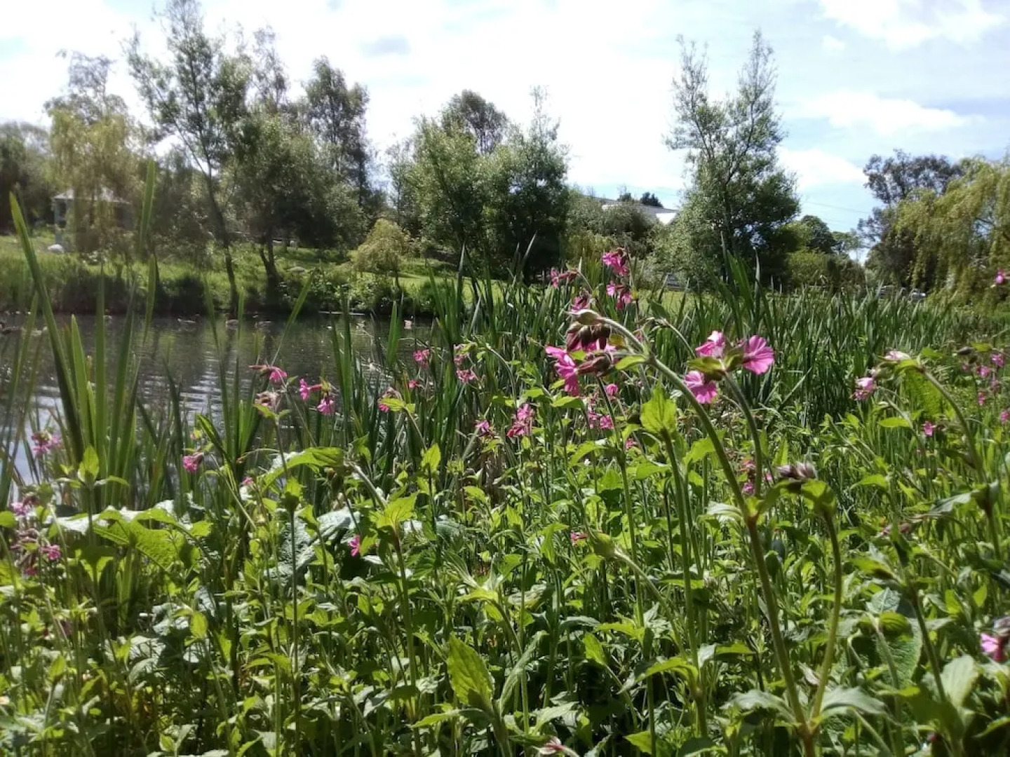 The Sweet Escape Retreat