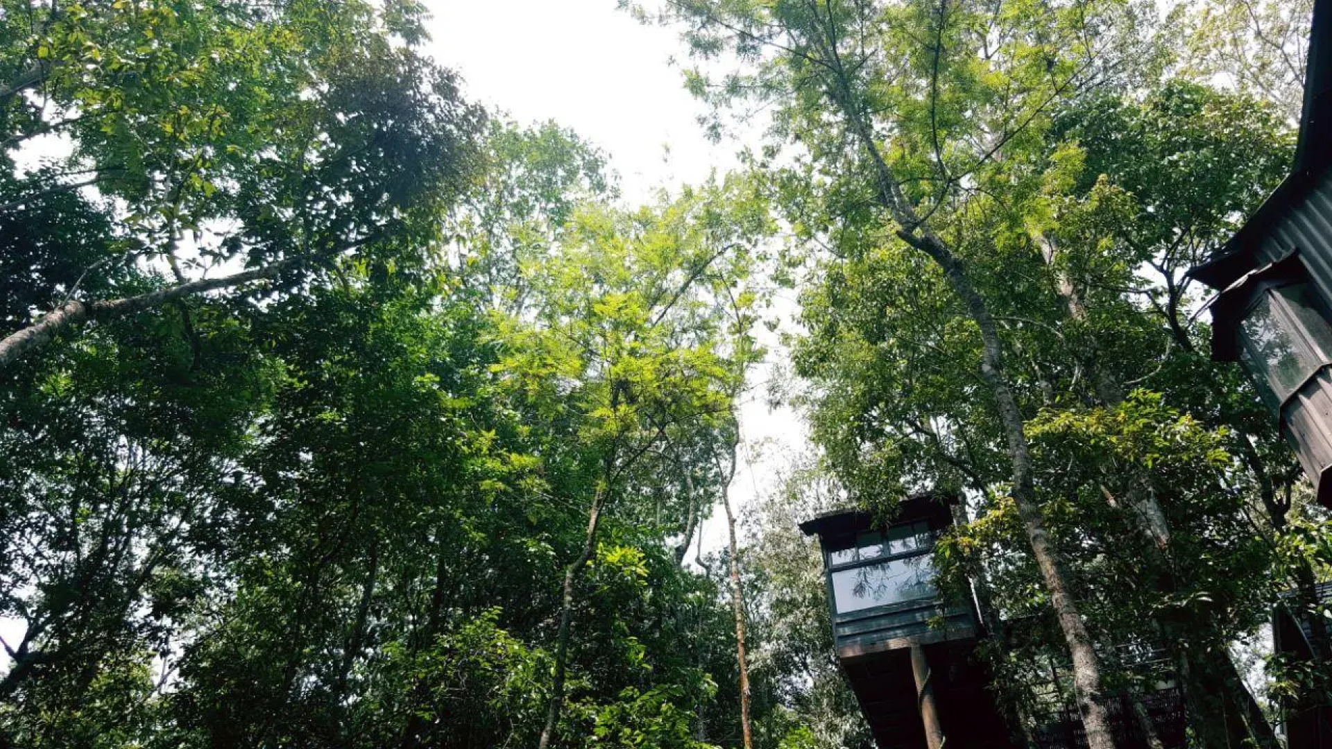 Ranches Jungle Beats