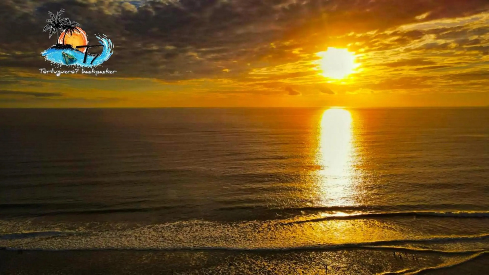 Departamento 7 Tortuguero