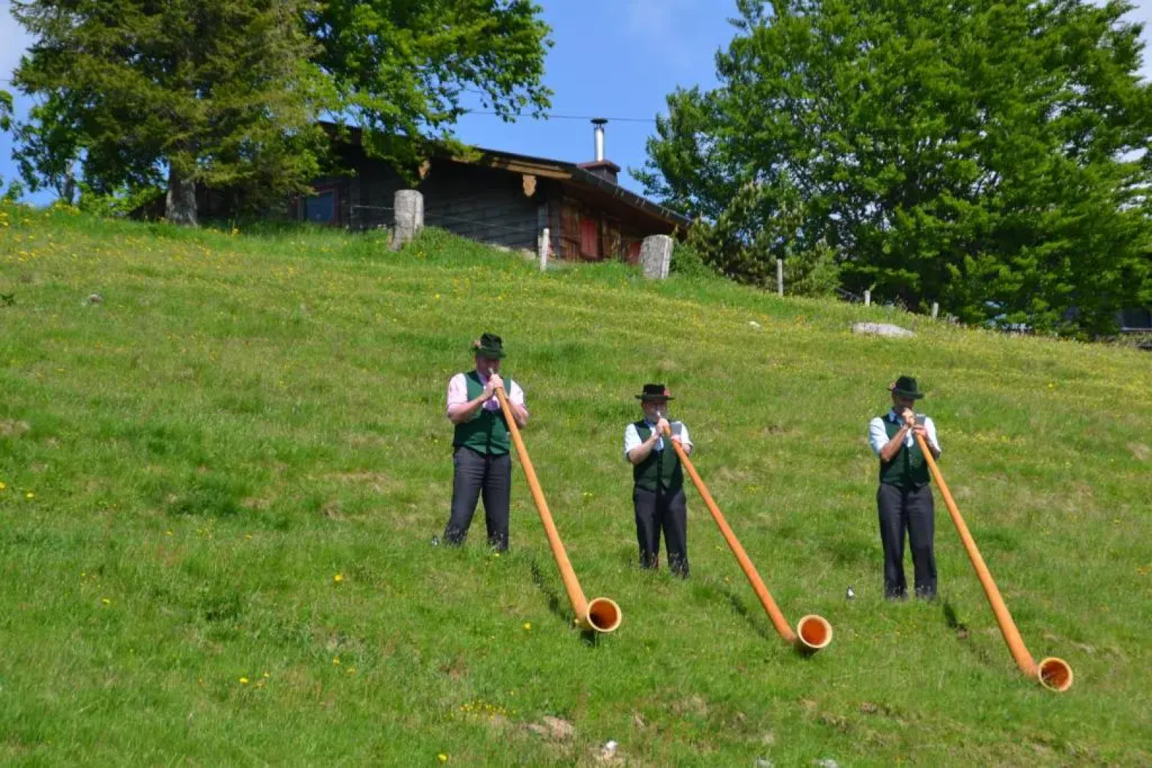 Berggasthof Sonnenalm
