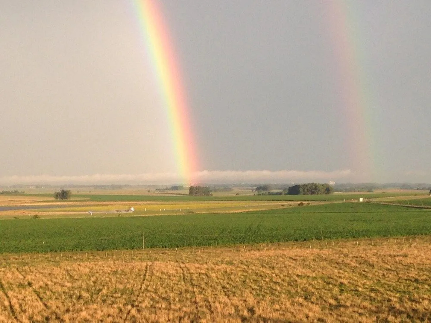 Complejo Turistico Flores Hotel de Campo