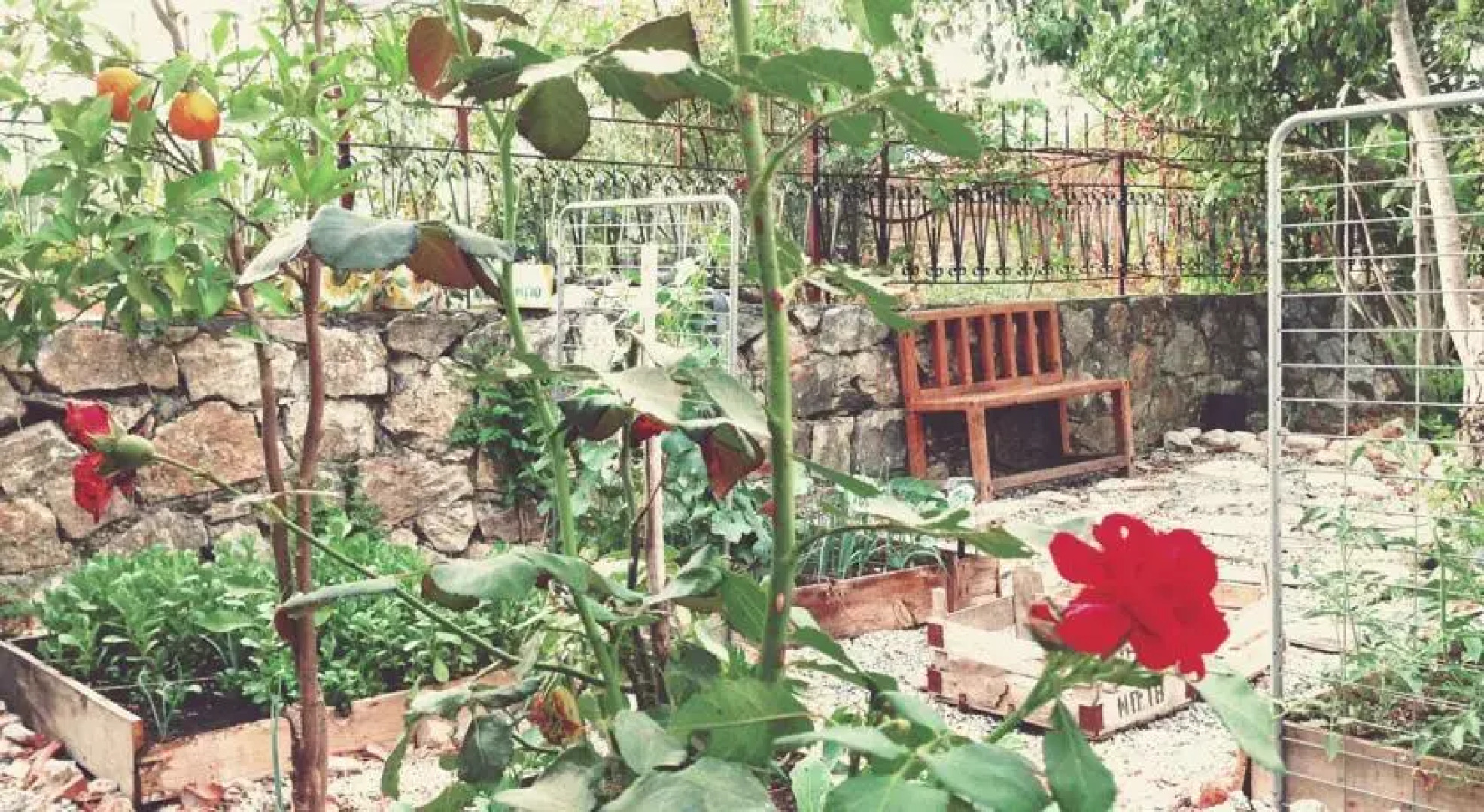 Pandispanya Butik Pansiyon