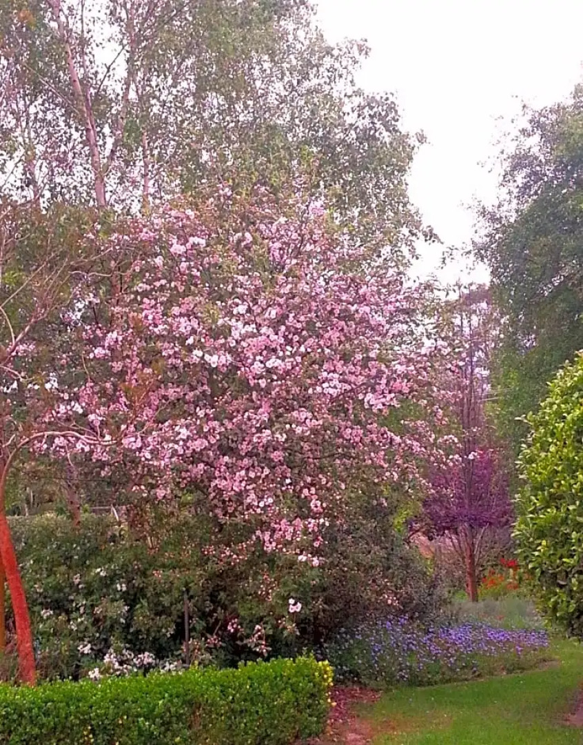 The Musicians Retreat B&B