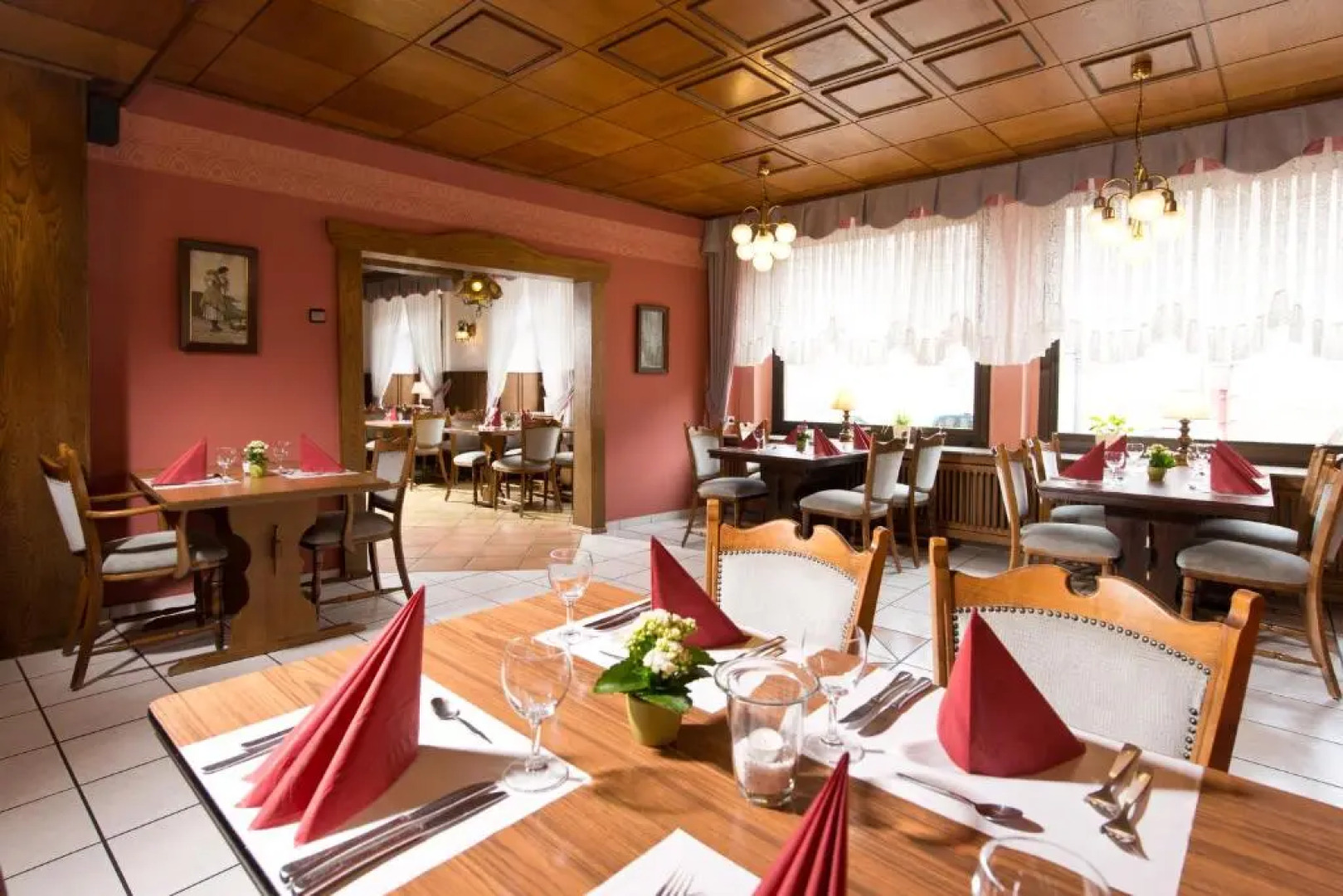 Ellenzer Goldbäumchen