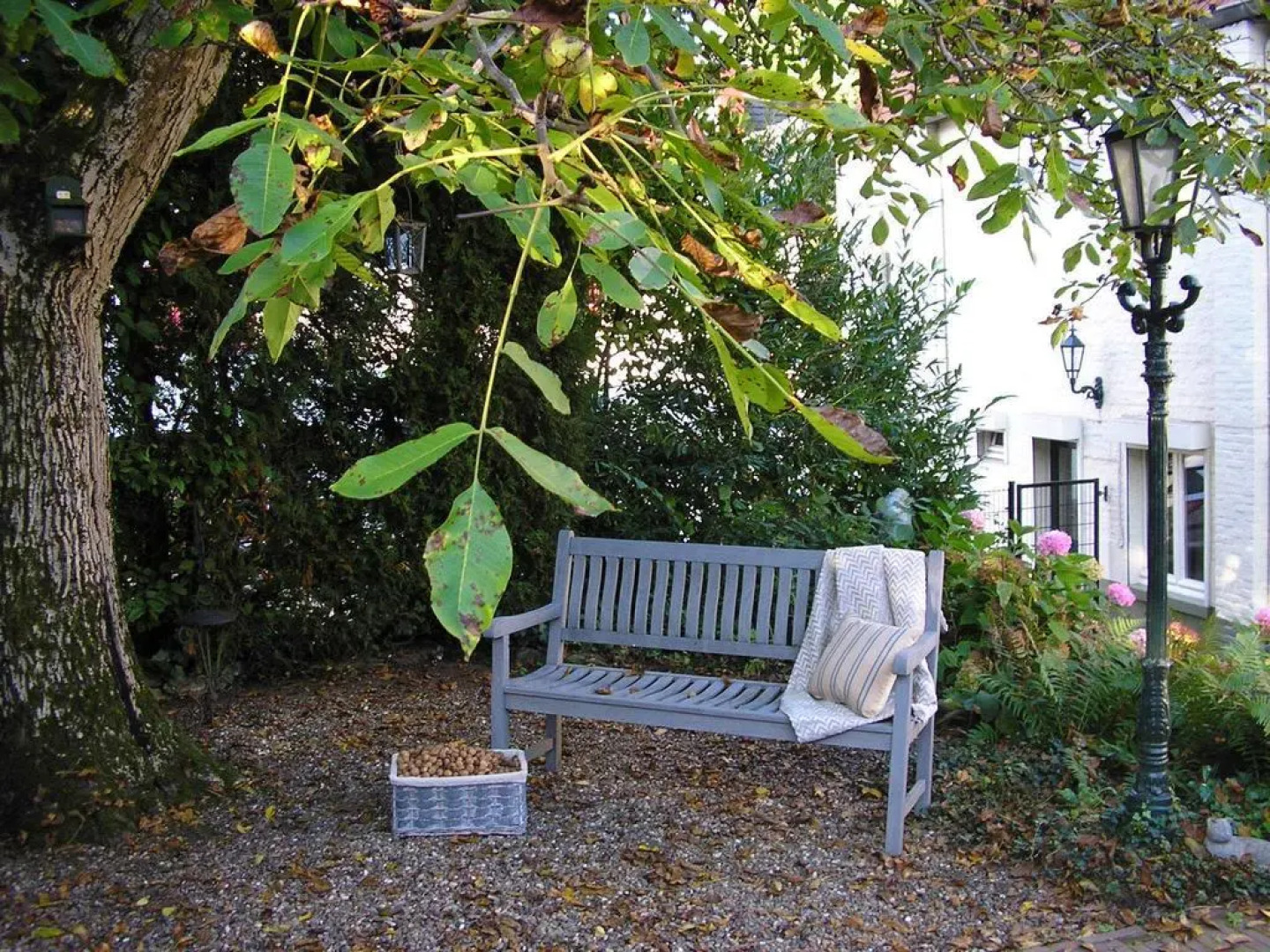 Walnut Lodge Bed & Breakfast