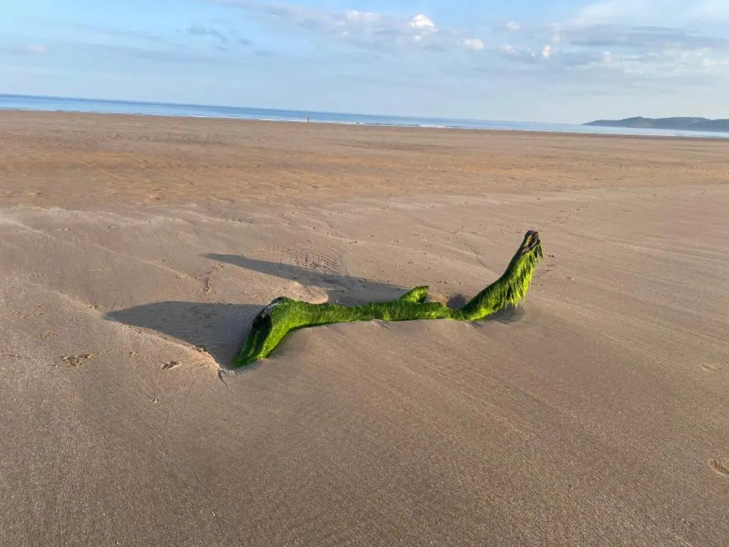 3 Middlecombe - Indoor Pool & 4 min walk to Beach!