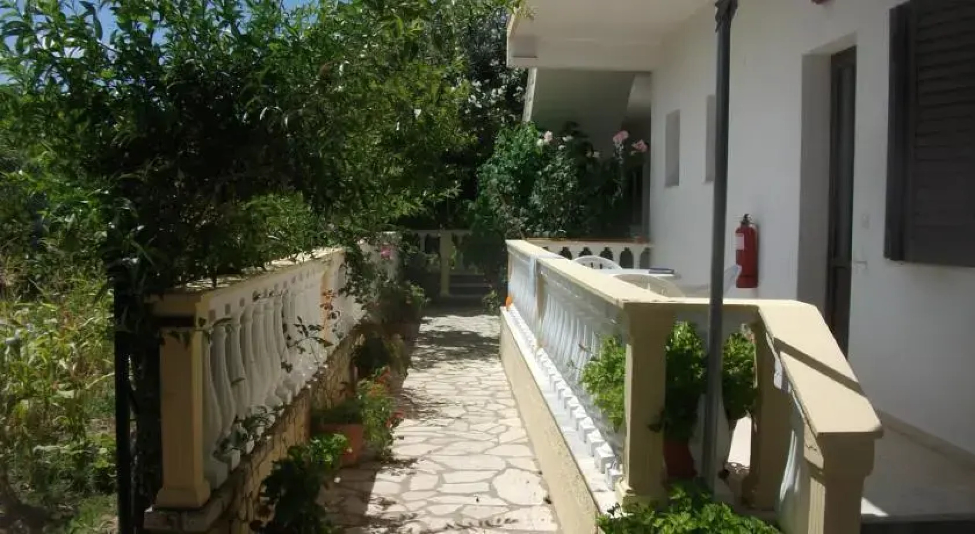 Alexandros Walnuttree Arillas Corfu