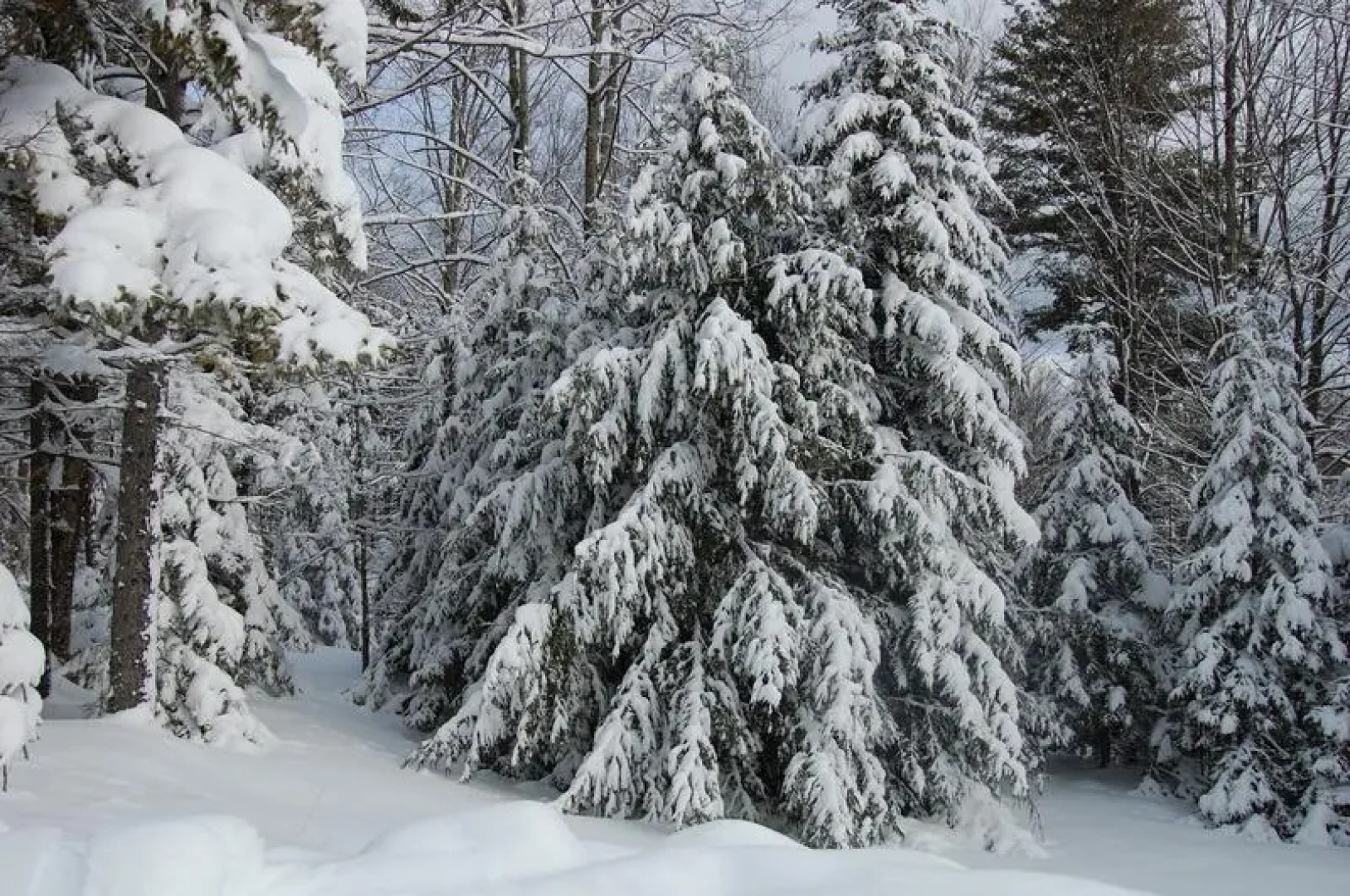 Brookside South at Chittenden