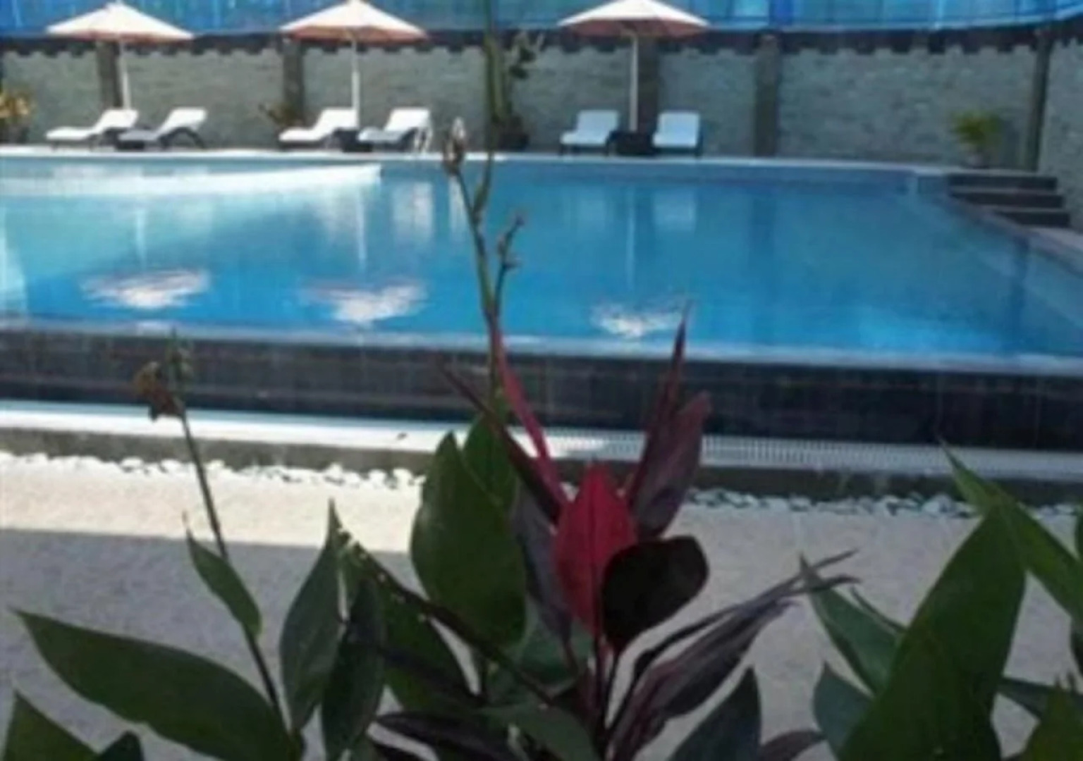 Sylvia Hotel Maumere