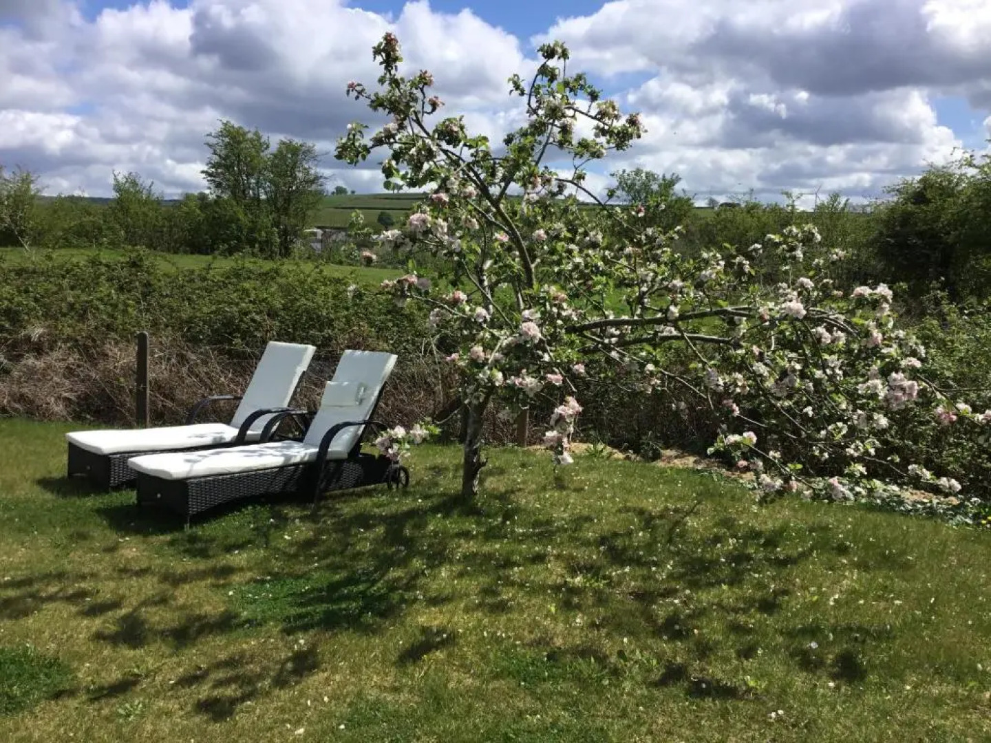 Old School Traditional B & B