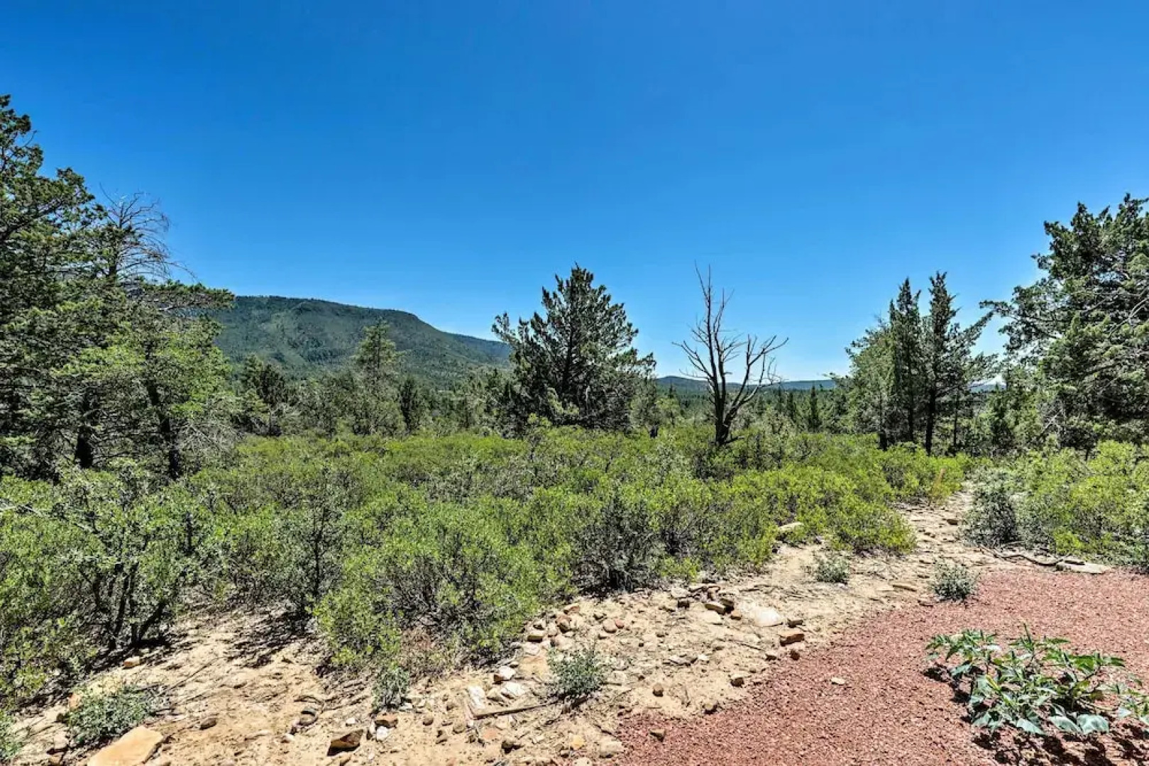 Hot Tub, Deck & Mtn View: Lavish Cabin in Pine!
