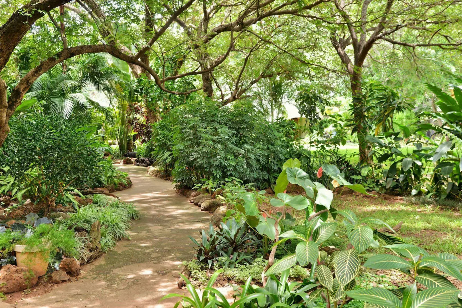 Bayete Guest Lodge