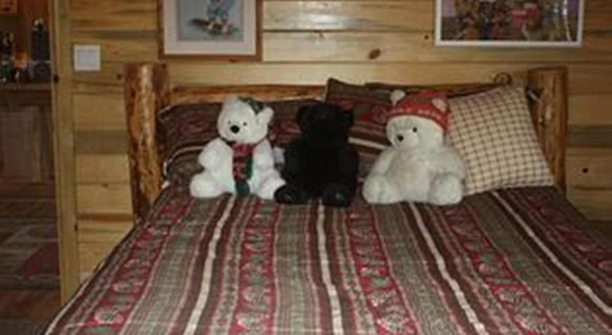 Bear In The Bed and Breakfast