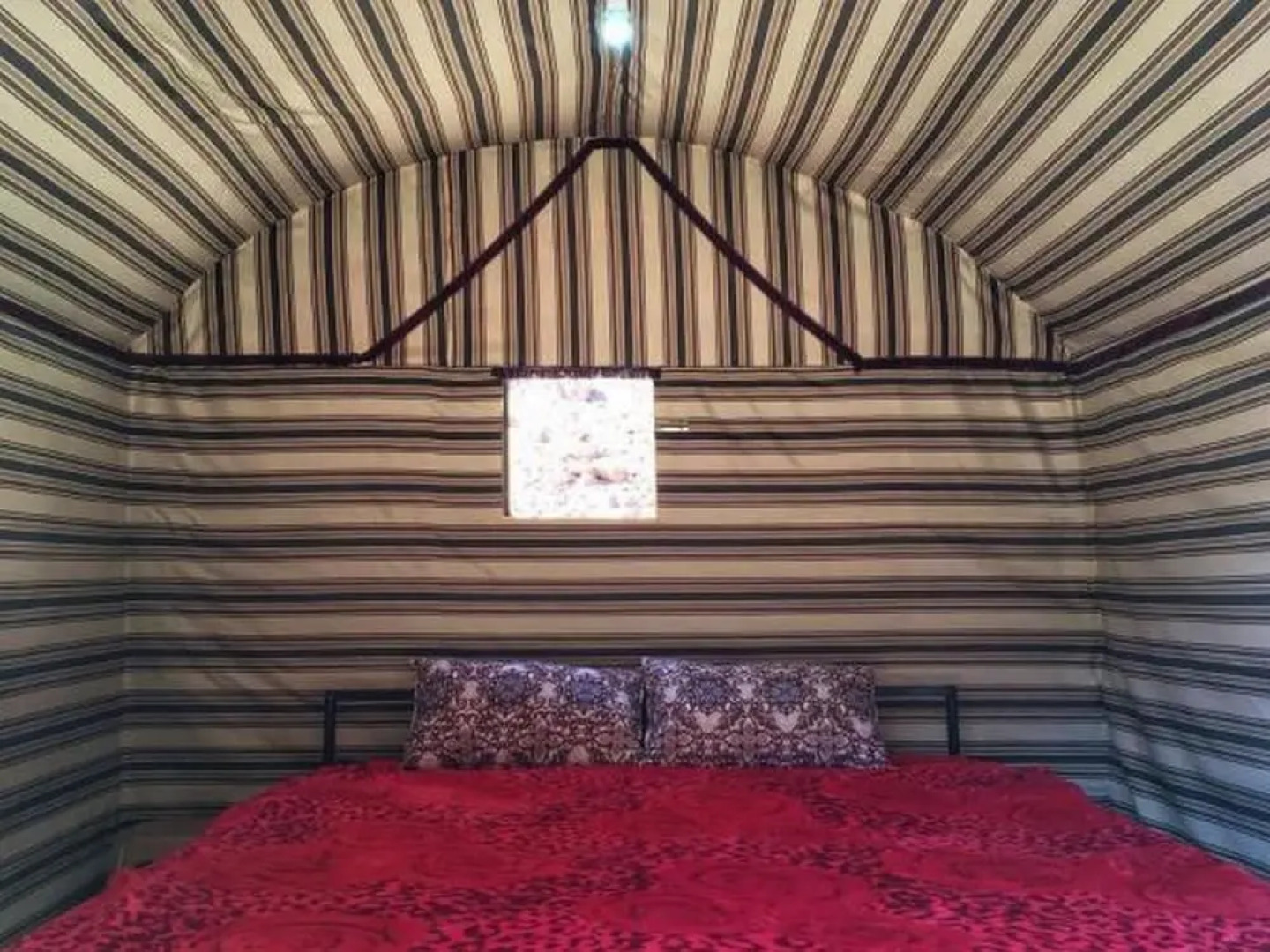 Relax Camp@Jeep Safari