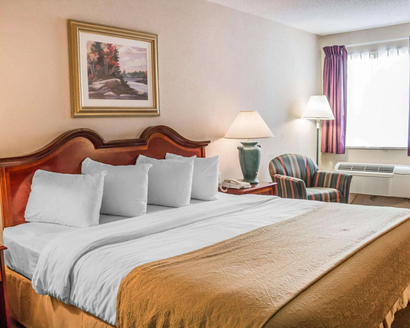 Quality Inn & Suites