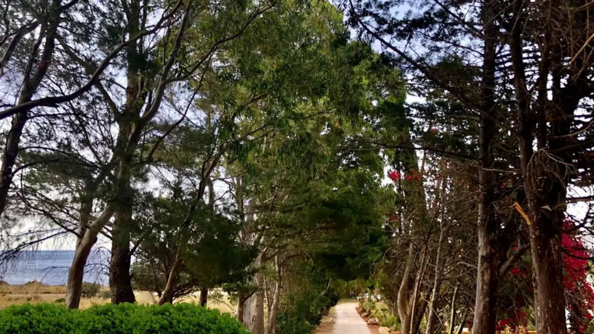 Araja Villa & Suite By Geocharme