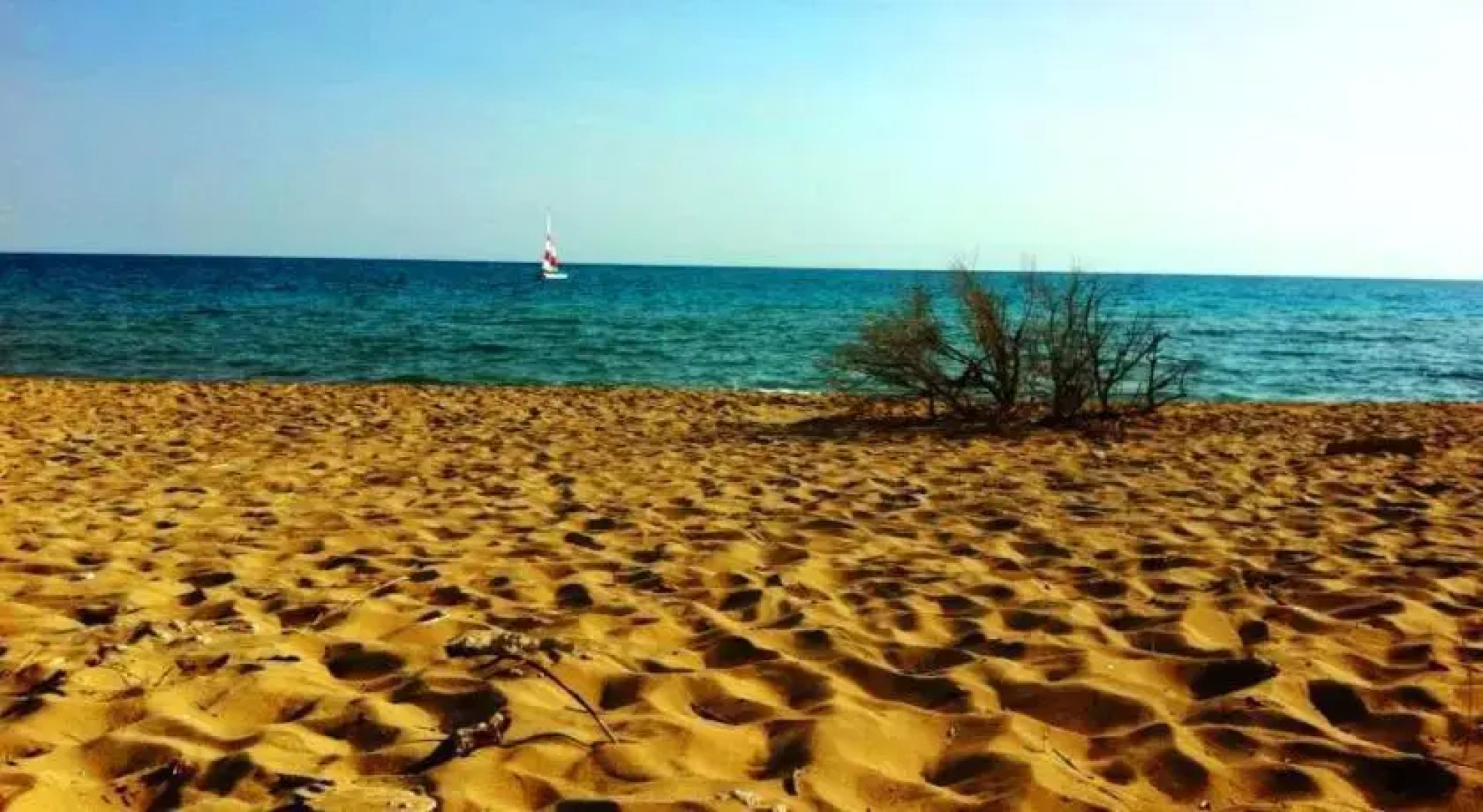 Trilocale Geminianum