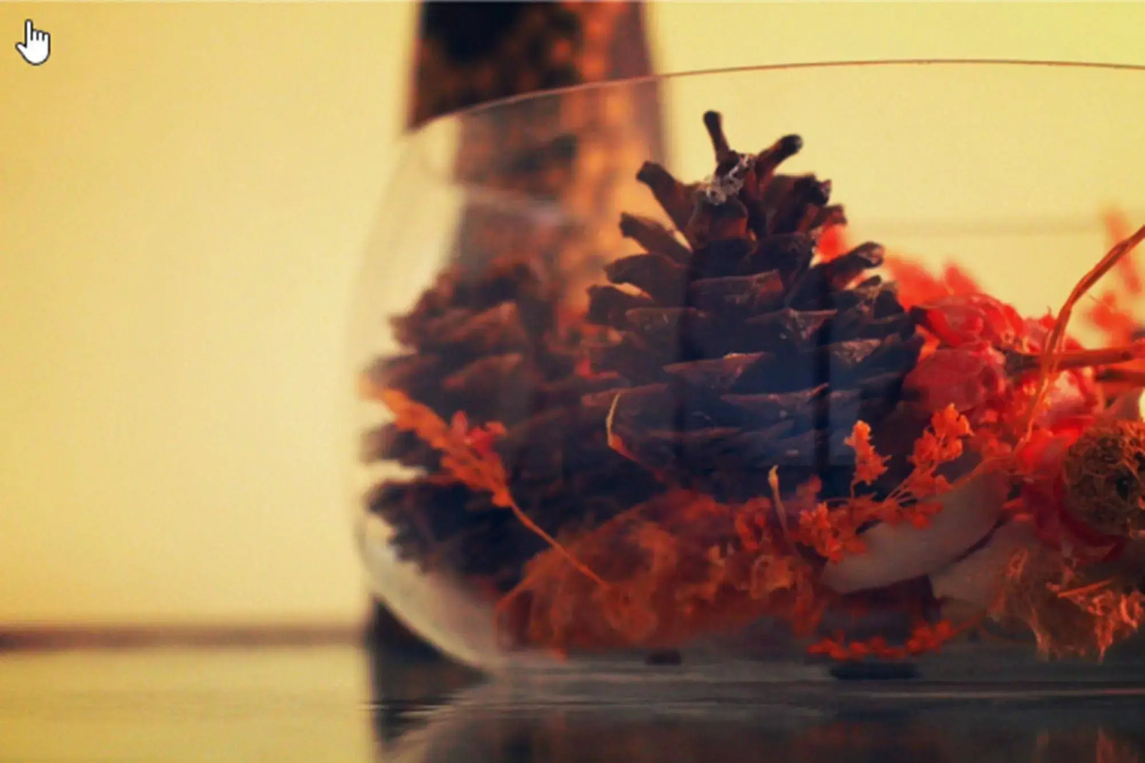 Tropical Sands Guesthouse