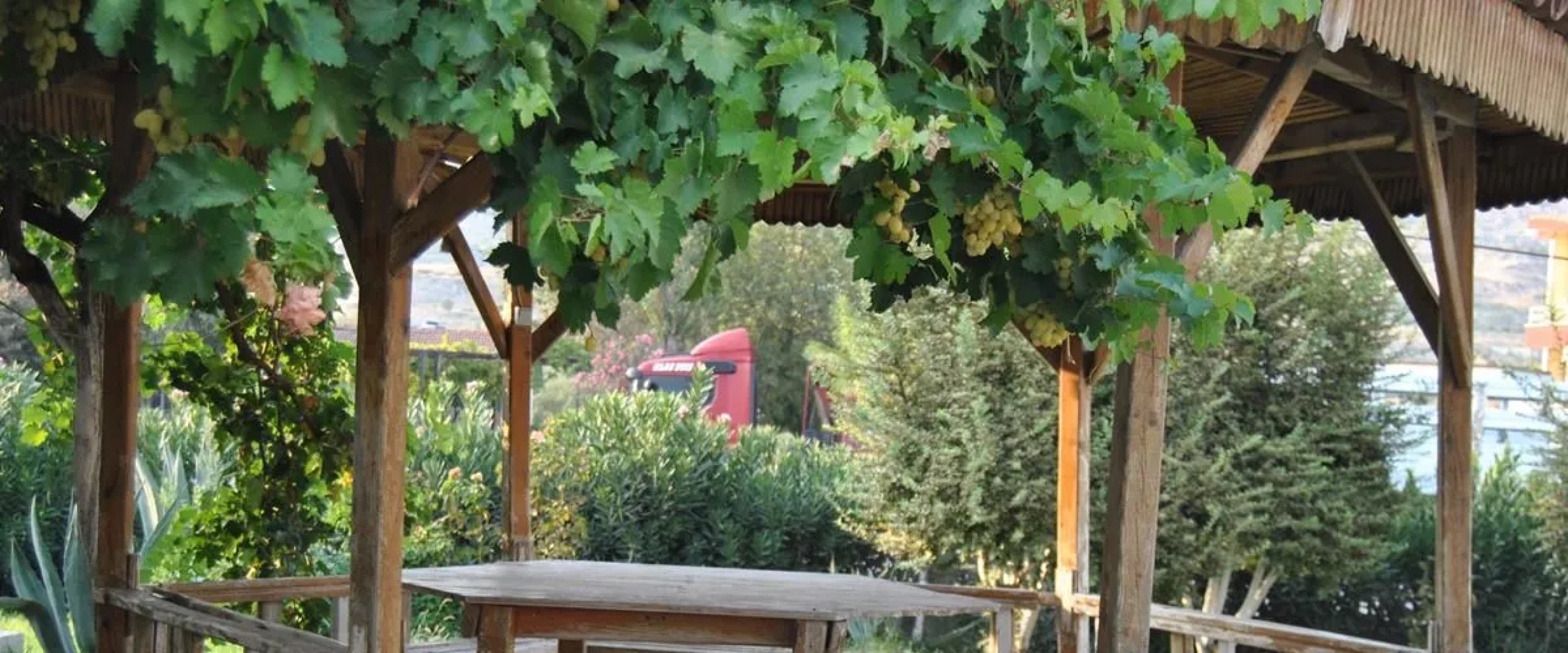 Güney Termal & Spa Hotel