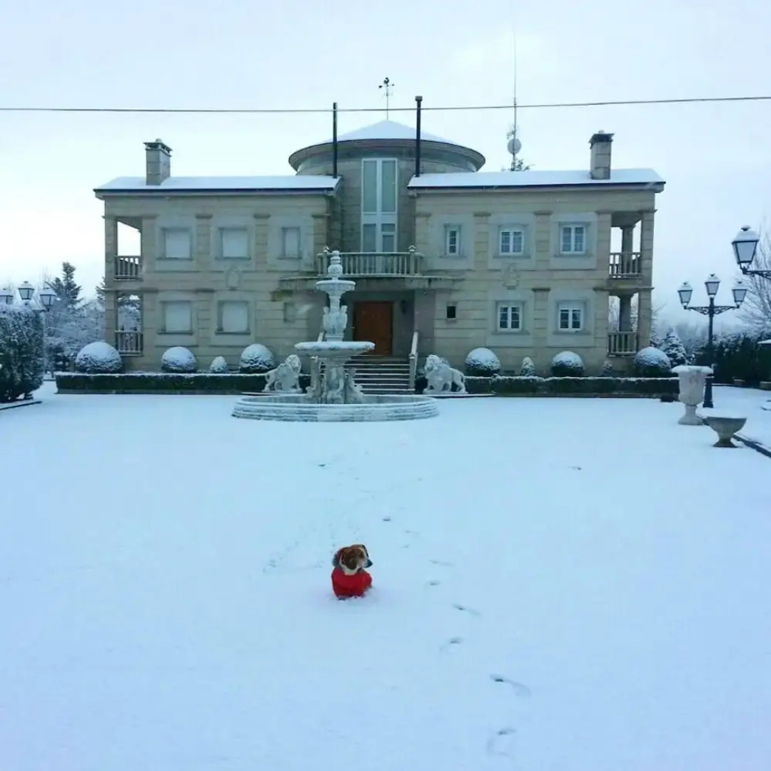 Mansion With 4 Bedrooms in Congosto, With Private Pool, Enclosed Garde