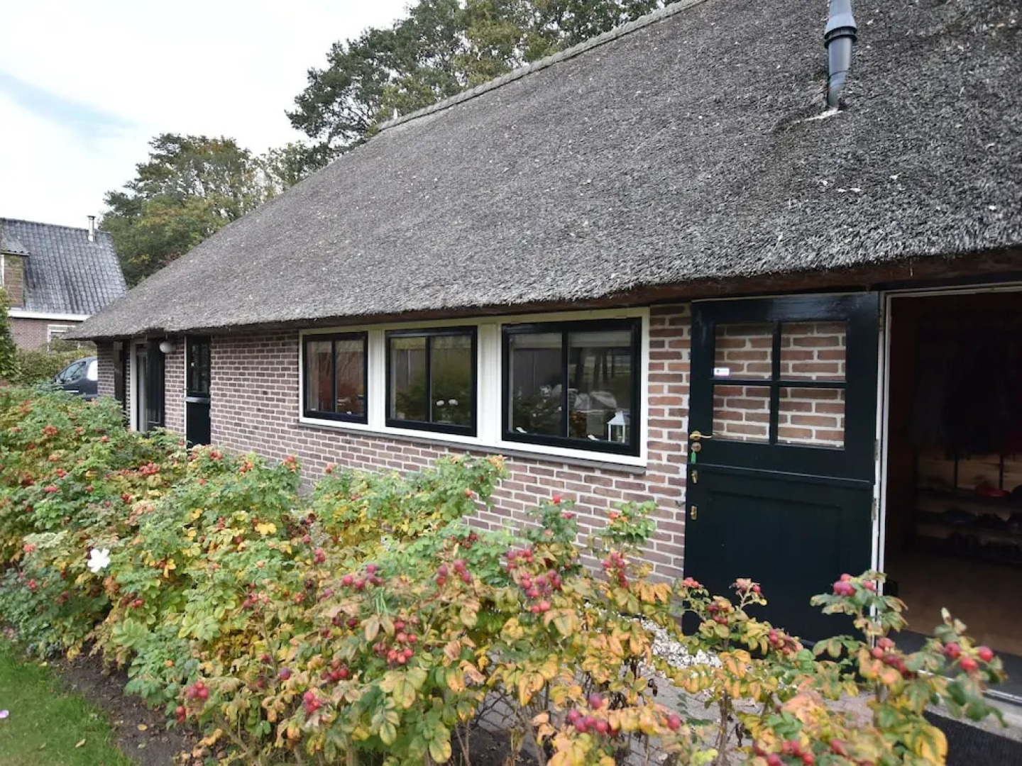 Lovely Apartment with Nice, Vast Views Located in Dwingeloo - Dogs Welcome!