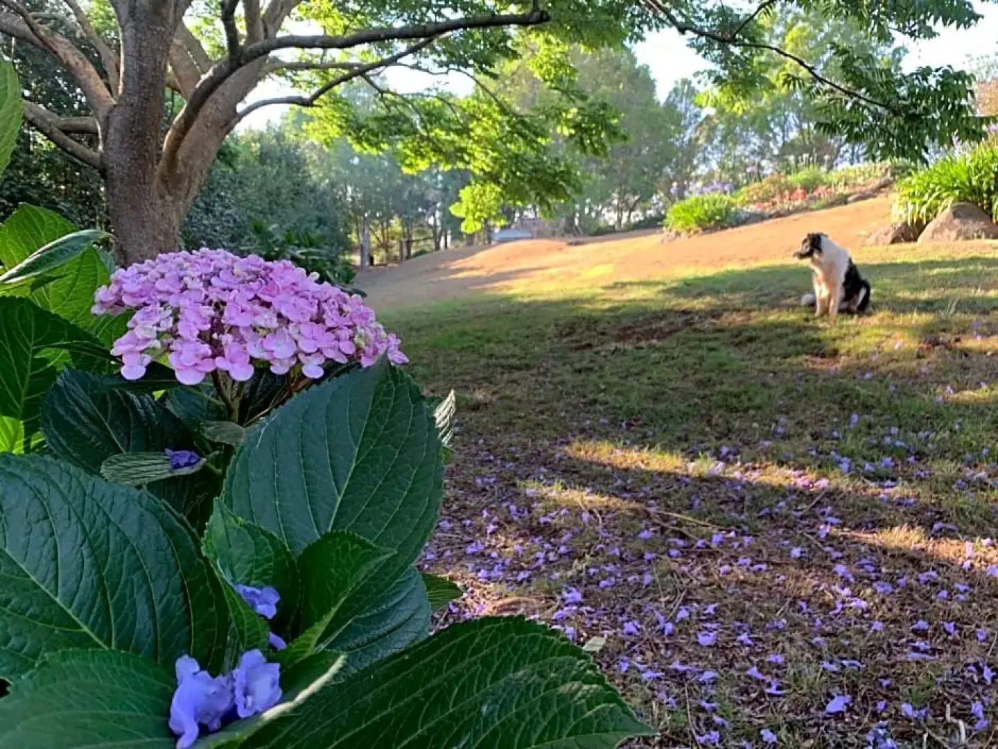 Wyndover Mountain Retreat