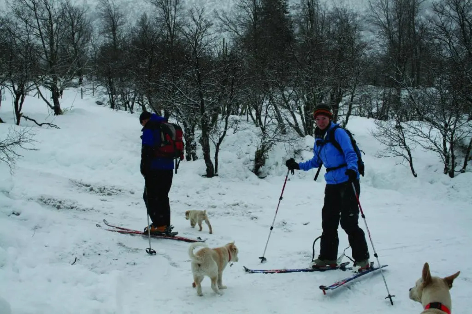 Don Guillermo Cabins