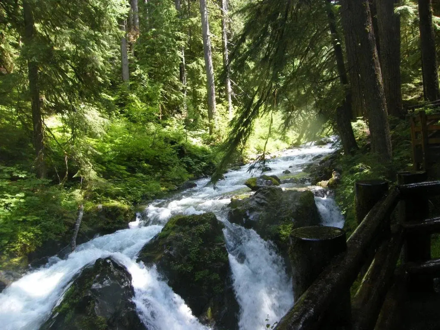 Rooster Hill Short Stay