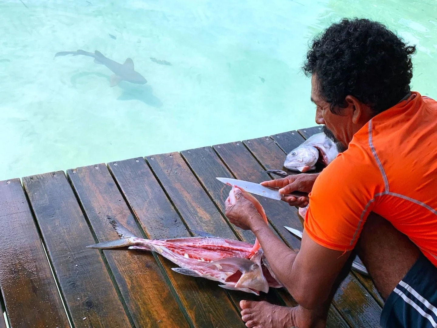 Casa Cayuco Eco-Adventure Lodge