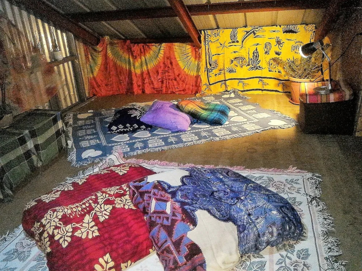 Tribuhaus Backpackers Inn