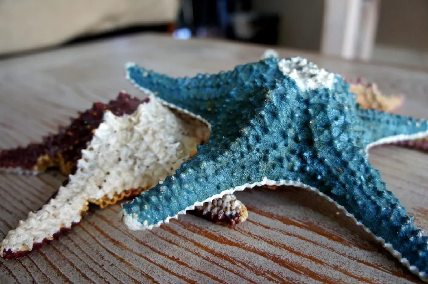 Costa del Mar #57 2 BR by Csaago