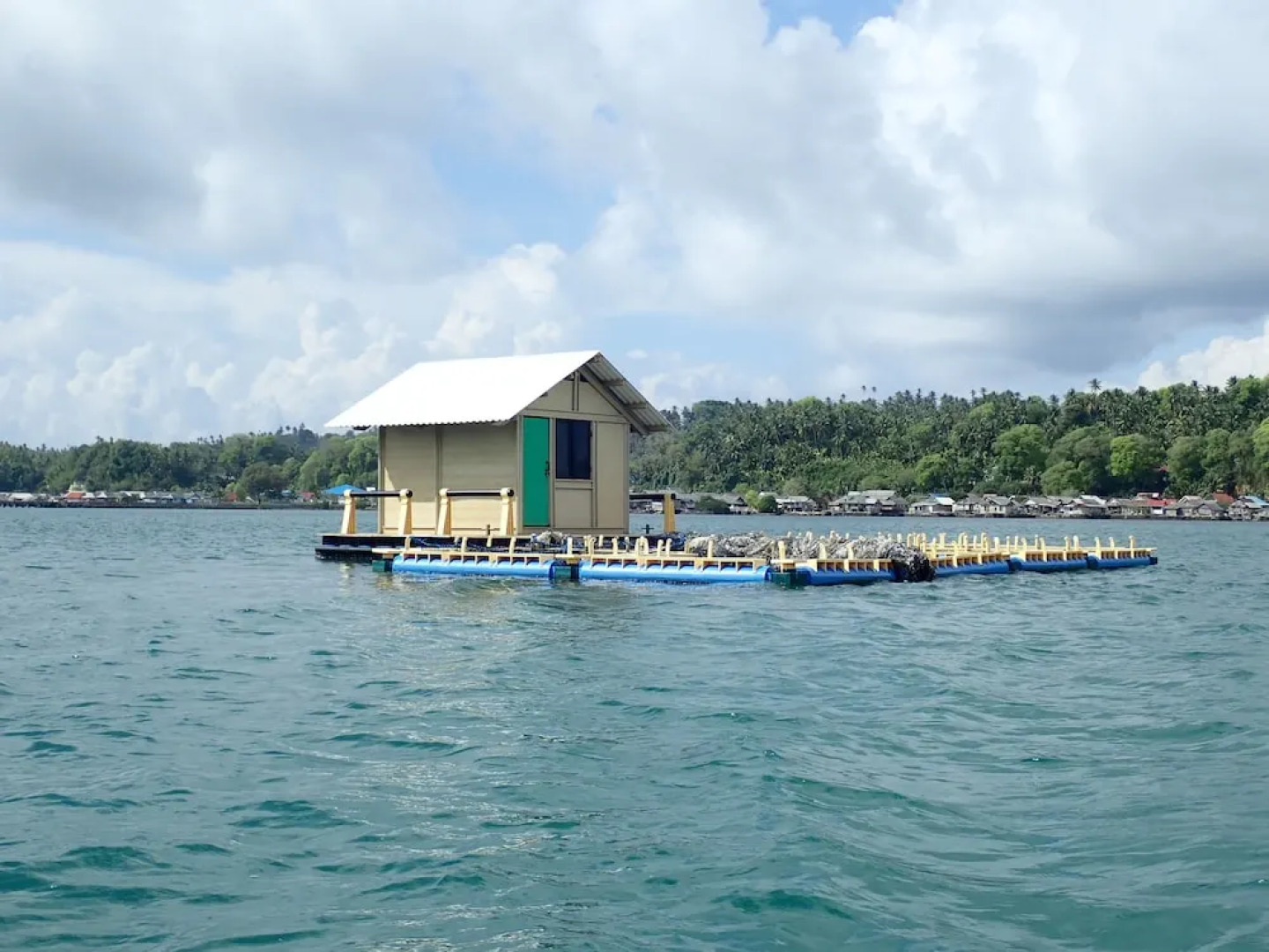 Hoga Island Dive Resort Wakatobi