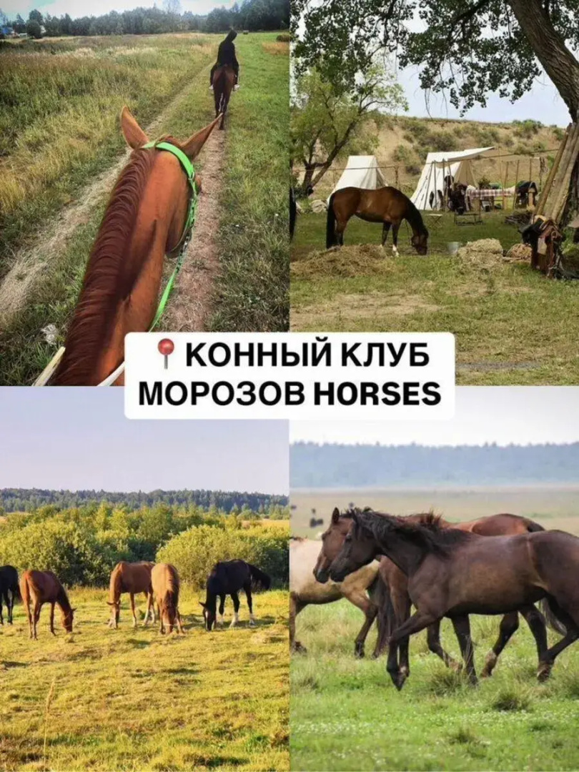 Дорские просторы