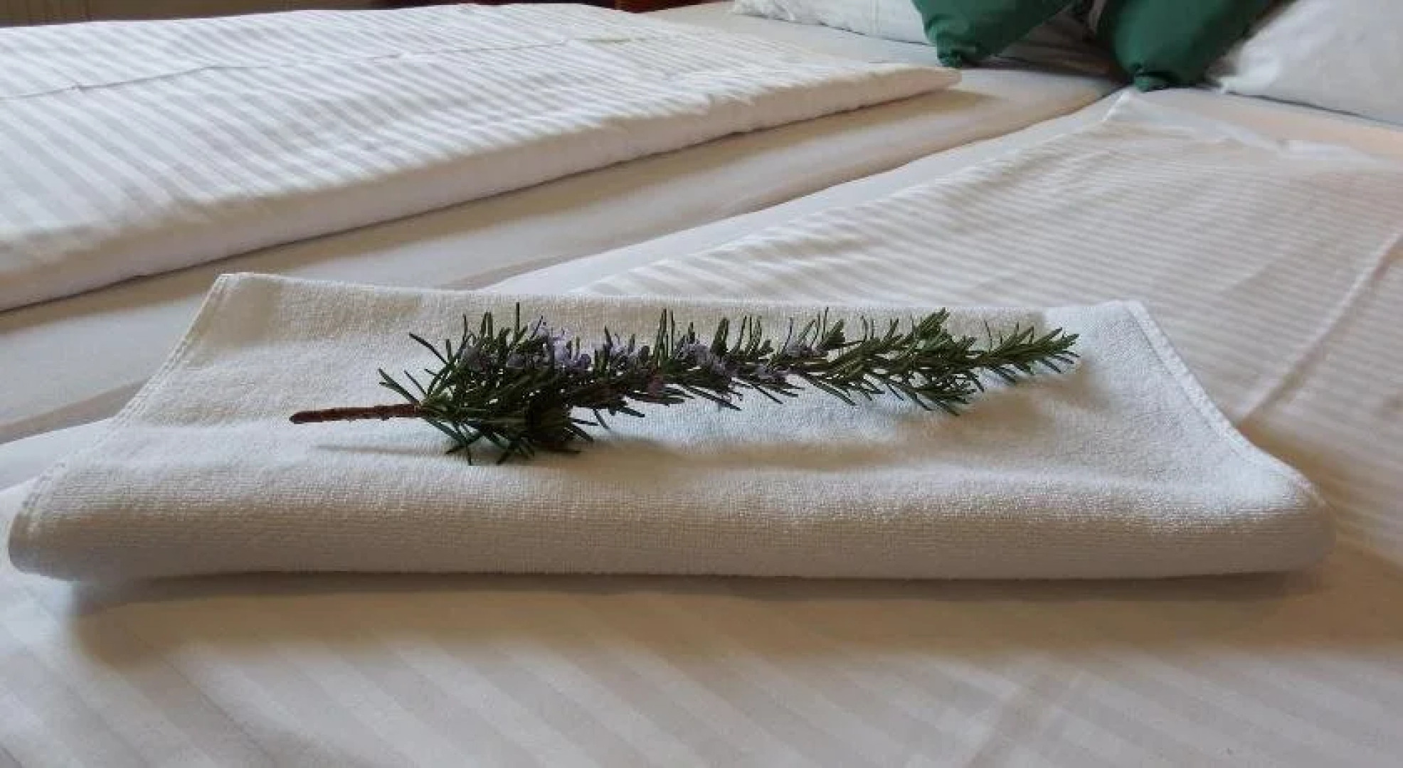 Gartenpension Fischl