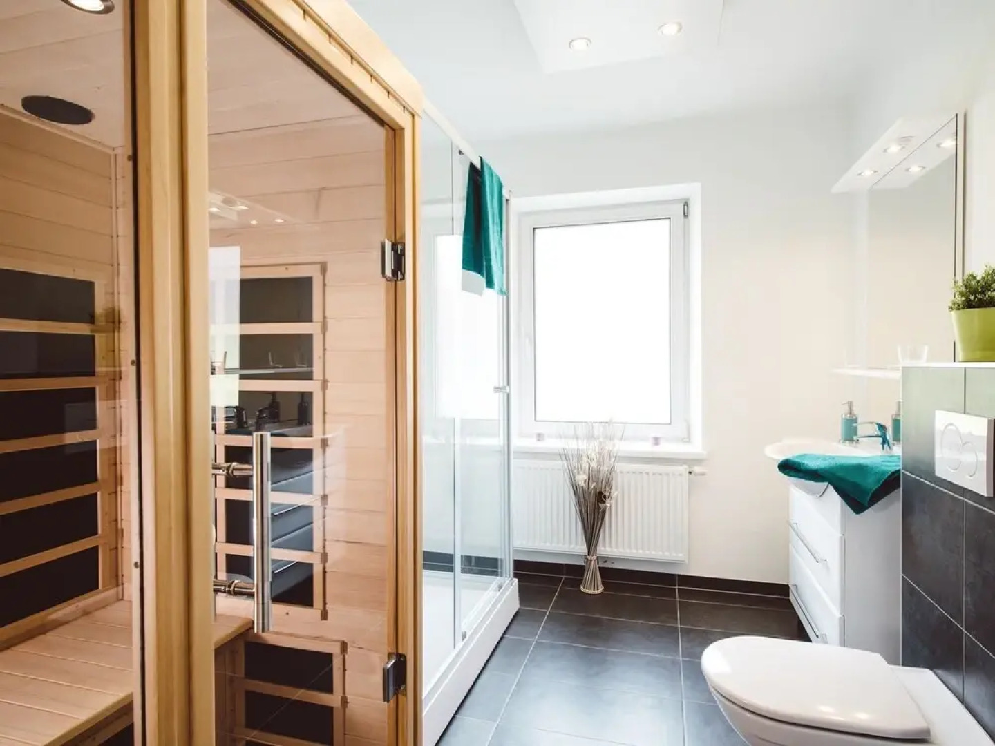 Reichenstein mit Sauna Eisenerz